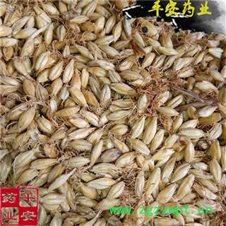 平安药业 麦芽 正品 生大麦芽 大麦蘖图2