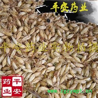平安药业 麦芽 正品 生大麦芽 大麦蘖图3