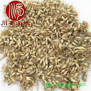 麦芽无硫统货散装1公斤起批生麦芽产地直供批发图4