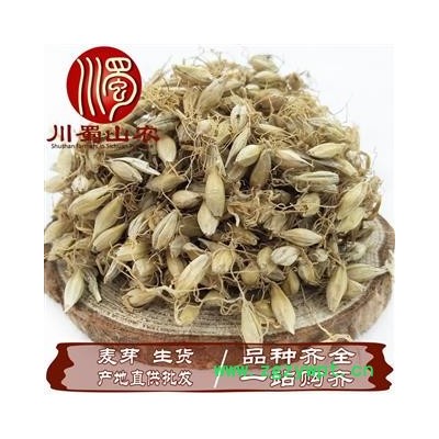 麦芽无硫统货散装1公斤起批生麦芽产地直供批发