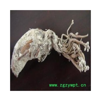 蝉壳 蝉壳   金蝉花 统 产地 安徽省宣城市郎溪县