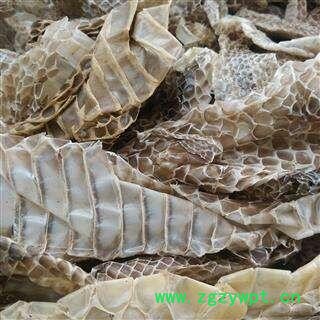 蛇蜕 统 产地 广西壮族自治区图2