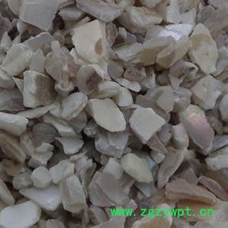 珍珠母 统 产地 山东省图2