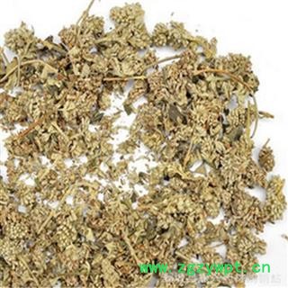 【振兴中药】批发供应中药材【密蒙花】图4