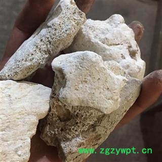 选装好龙骨 纯正品 吸舌龙骨大块 另有煅龙骨 产地直销 实物图 批发各类中药材 冷背货 矿石等 产地 内蒙古自治区图2