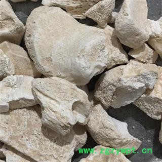 选装好龙骨 纯正品 吸舌龙骨大块 另有煅龙骨 产地直销 实物图 批发各类中药材 冷背货 矿石等 产地 内蒙古自治区图4