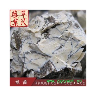 草民甄选青龙齿块 五花龙齿 正品龙齿 实物如图 专业批发量大从优
