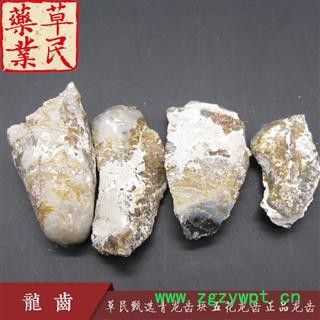 草民甄选青龙齿块 五花龙齿 正品龙齿 实物如图 专业批发量大从优图2