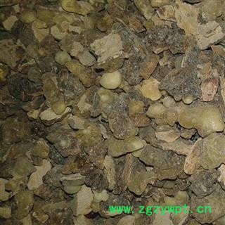 乳香 统 产地 广西壮族自治区北海市铁山港区图2