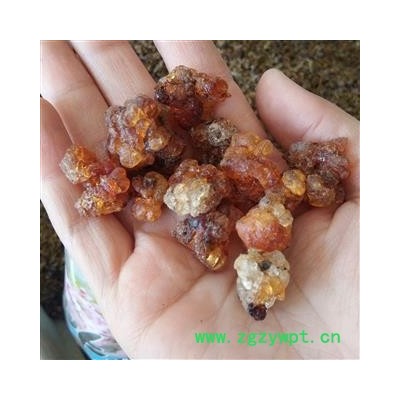 京辉药业 桃胶 桃树胶 桃花泪 桃油 桃脂 优质 促销