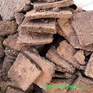 安祁名药芜夷 臭芜夷 山榆 黄榆 毛榆图2