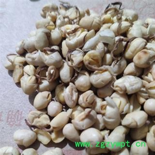 安祁名药大豆黄卷 豆卷 大豆蘖 豆卷 卷蘖 黄卷皮图2