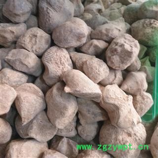 诺源药材行正品实拍张家界石燕 石燕子 燕子石 水飞石燕图2