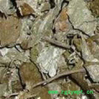 秃子 选 胡秃子叶  产地 江苏省 德誉堂药业批发各种中药材图3