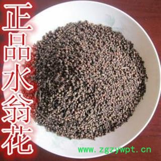 问心堂药业供应中药材水翁花主头痛，跌打，蛇伤正品保障图2