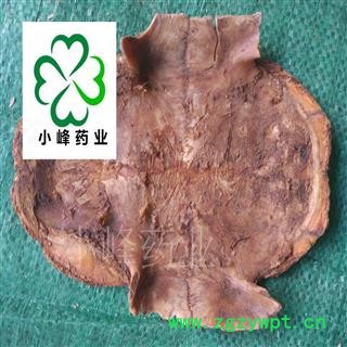 龟甲 制水龟板 新货 纯干 好统货 小峰药业 重在品质 产地 广东省图2