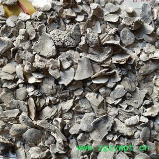 牡蛎 ，牡蛎粉，牡蛎片，粉，小片，大片 产地 山东省图2