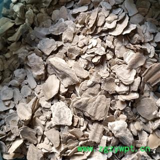 牡蛎 ，牡蛎粉，牡蛎片，粉，小片，大片 产地 山东省图3