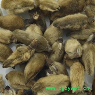 中药材 辛夷花 正品 新花 促销图2