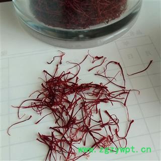 京辉药业 特级长丝 西红花 藏红花 伊朗 促销各种中药材图3