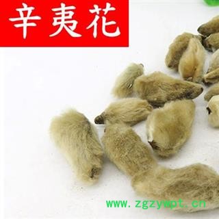 煜庭药业 辛夷花图2