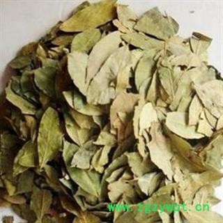 煜庭药业 丁香 丁香叶图3