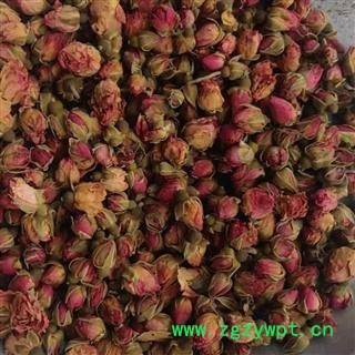 玫瑰花 山东玫瑰 产地 山东省图3