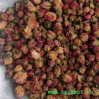 玫瑰花 山东玫瑰 产地 山东省图2