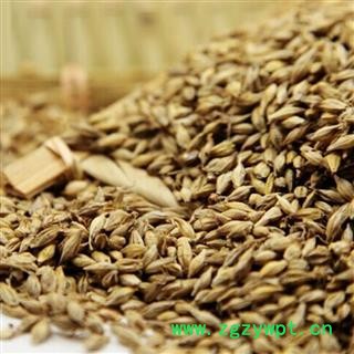 煜庭药业 麦芽 炒麦芽 焦麦芽图4