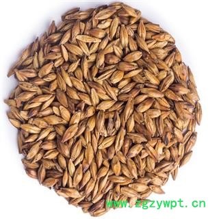 煜庭药业 麦芽 炒麦芽 焦麦芽图3