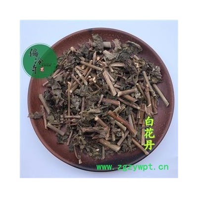 白花丹 白花藤 乌面马 鸟面马 白雪花 千槟榔 统 产地 广西壮族自治区 买家承