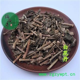 白花丹 白花藤 乌面马 鸟面马 白雪花 千槟榔 统 产地 广西壮族自治区 买家承图2