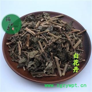 白花丹 白花藤 乌面马 鸟面马 白雪花 千槟榔 统 产地 广西壮族自治区 买家承图3