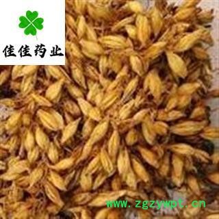炒麦芽 炒麦芽选货 个个有芽 不掺大麦 实物图 产地直销 供应大货 产地 山东省图3