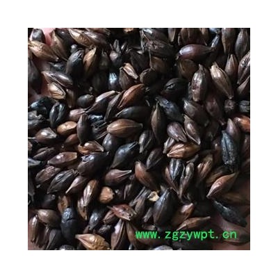 麦芽 焦麦芽 好统货 产地直销 供应各种中药材 产地 山东省