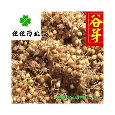 谷芽 生谷芽统货 产地 山东省 芽多 新货 产地直销 供应各种中药材 花果茶冷背货 矿石等