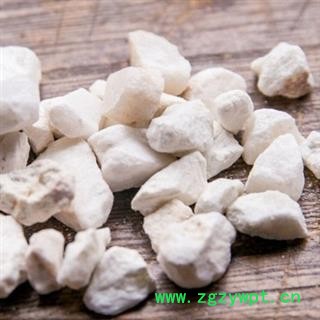 诺源药材行阳起石 生阳石   起阳石可搭配锁阳 肉苁蓉图2