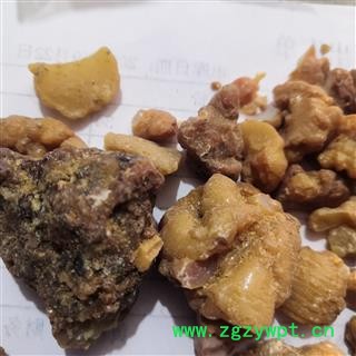 安祁名药中药材阿魏 五彩阿魏  臭阿魏图2