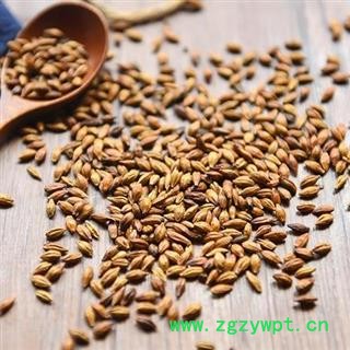 【买1送1】秦岭农家优质手工炒大麦茶味香250g图4