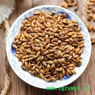 【买1送1】秦岭农家优质手工炒大麦茶味香250g图3