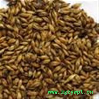 小丽百草行中药材大麦芽  生麦芽 炒麦芽  焦麦芽图2