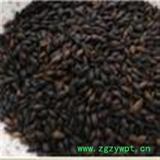 小丽百草行中药材大麦芽  生麦芽 炒麦芽  焦麦芽图3