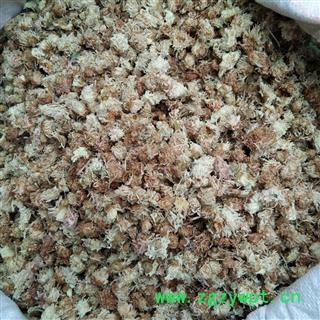 京辉药业 菊花 手摘 无硫 新货图2