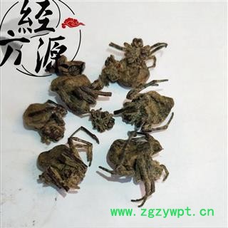 黑蜘蛛 统 产地 云南省图2