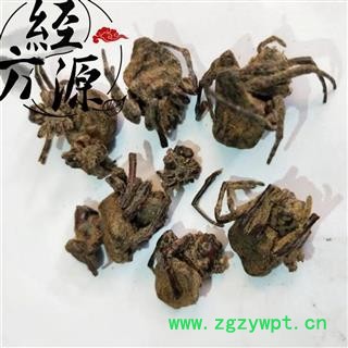 黑蜘蛛 统 产地 云南省图3