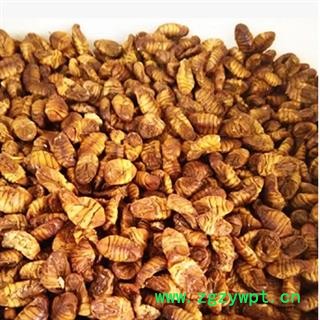 蚕蛹 蚕茧 蚕蜕 晚蚕砂 药用 统 产地 江苏省南通市市辖区图2