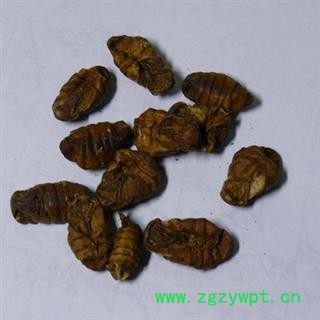 蚕蛹 蚕茧 蚕蜕 晚蚕砂 药用 统 产地 江苏省南通市市辖区图3