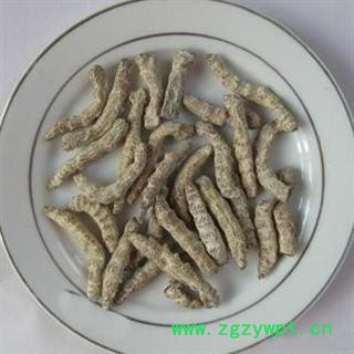 僵蚕 统 产地 四川省绵阳市市辖区图2