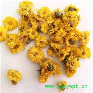 黄菊花 统货 产地 安徽省图3