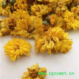 黄菊花 统货 产地 安徽省图2